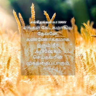 Picture 04 - சங்கீதங்கள் 84:9 TAMIRV - எங்கள் கேடகமாகிய - Bible Verse Picture