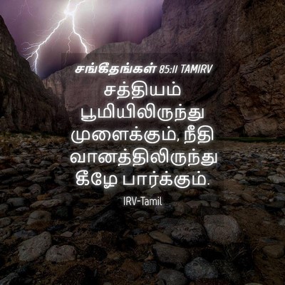 Picture 04 - சங்கீதங்கள் 85:11 TAMIRV - சத்தியம் - Bible Verse Picture