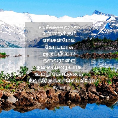 Picture 04 - சங்கீதங்கள் 85:5 TAMIRV - என்றைக்கும் - Bible Verse Picture
