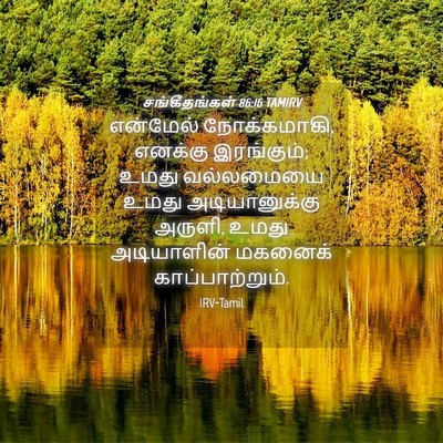 Picture 04 - சங்கீதங்கள் 86:16 TAMIRV - என்மேல் - Bible Verse Picture