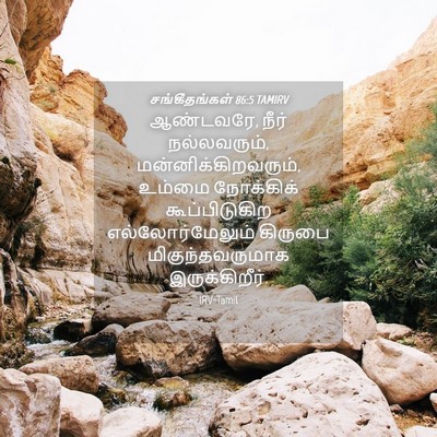 Picture 04 - சங்கீதங்கள் 86:5 TAMIRV - ஆண்டவரே, நீர் - Bible Verse Picture
