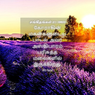 Picture 04 - சங்கீதங்கள் 87:1 TAMIRV - கோராகின் - Bible Verse Picture
