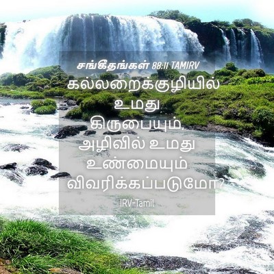 Picture 04 - சங்கீதங்கள் 88:11 TAMIRV - கல்லறைக்குழியில் - Bible Verse Picture