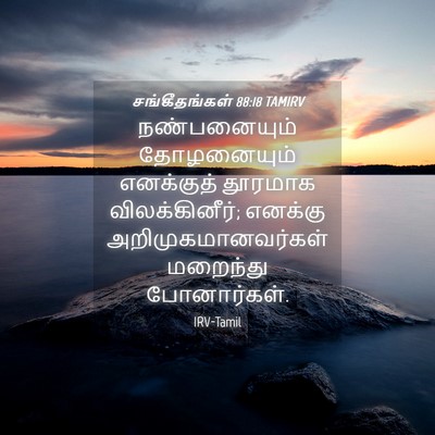 Picture 04 - சங்கீதங்கள் 88:18 TAMIRV - நண்பனையும் - Bible Verse Picture