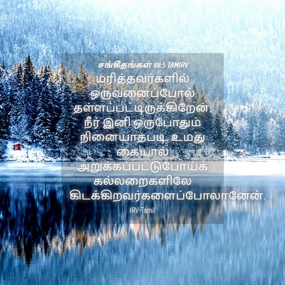 Picture 04 - சங்கீதங்கள் 88:5 TAMIRV - மரித்தவர்களில் - Bible Verse Picture