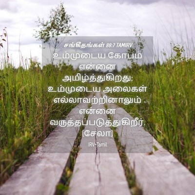 Picture 04 - சங்கீதங்கள் 88:7 TAMIRV - உம்முடைய கோபம் - Bible Verse Picture