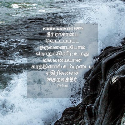 Picture 04 - சங்கீதங்கள் 89:10 TAMIRV - நீர் ராகாபை - Bible Verse Picture
