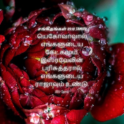 Picture 04 - சங்கீதங்கள் 89:18 TAMIRV - யெகோவாவால் - Bible Verse Picture