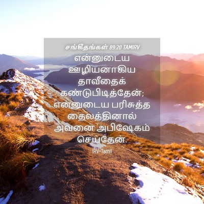 Picture 04 - சங்கீதங்கள் 89:20 TAMIRV - என்னுடைய - Bible Verse Picture