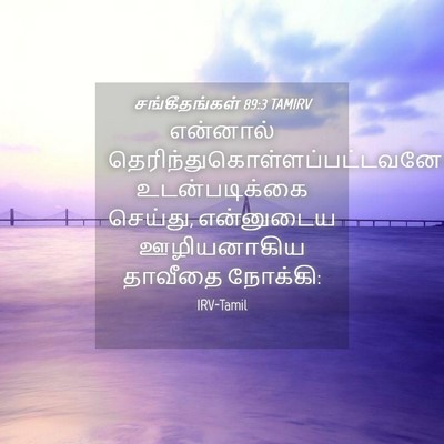 Picture 04 - சங்கீதங்கள் 89:3 TAMIRV - என்னால் - Bible Verse Picture