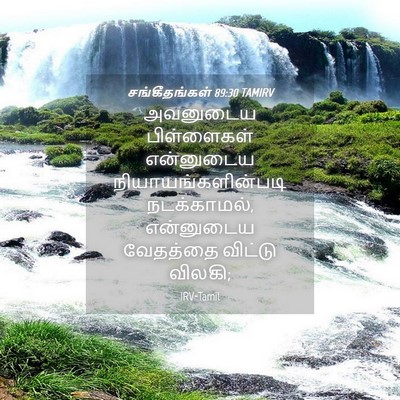 Picture 04 - சங்கீதங்கள் 89:30 TAMIRV - அவனுடைய பிள்ளைகள் - Bible Verse Picture