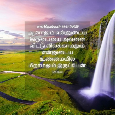 Picture 04 - சங்கீதங்கள் 89:33 TAMIRV - ஆனாலும் என்னுடைய - Bible Verse Picture