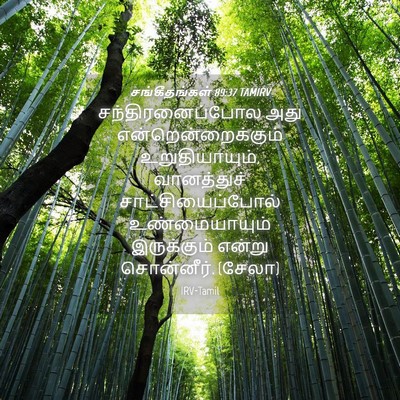Picture 04 - சங்கீதங்கள் 89:37 TAMIRV - சந்திரனைப்போல அது - Bible Verse Picture