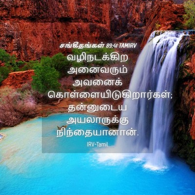 Picture 04 - சங்கீதங்கள் 89:41 TAMIRV - வழிநடக்கிற - Bible Verse Picture