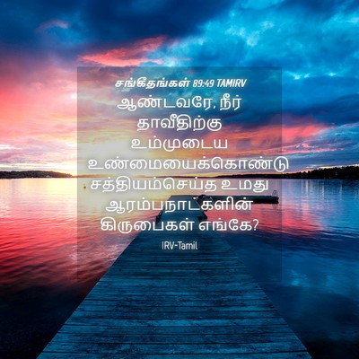 Picture 04 - சங்கீதங்கள் 89:49 TAMIRV - ஆண்டவரே, நீர் - Bible Verse Picture