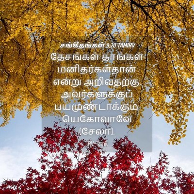 Picture 04 - சங்கீதங்கள் 9:20 TAMIRV - தேசங்கள் தாங்கள் - Bible Verse Picture