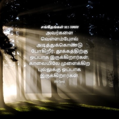 Picture 04 - சங்கீதங்கள் 90:5 TAMIRV - அவர்களை - Bible Verse Picture