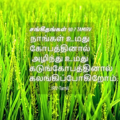 Picture 04 - சங்கீதங்கள் 90:7 TAMIRV - நாங்கள் உமது - Bible Verse Picture