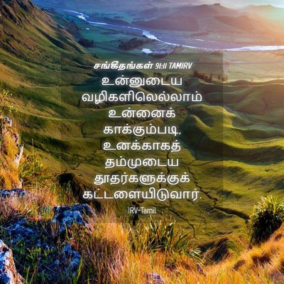 Picture 04 - சங்கீதங்கள் 91:11 TAMIRV - உன்னுடைய - Bible Verse Picture