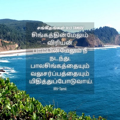 Picture 04 - சங்கீதங்கள் 91:13 TAMIRV -  - Bible Verse Picture
