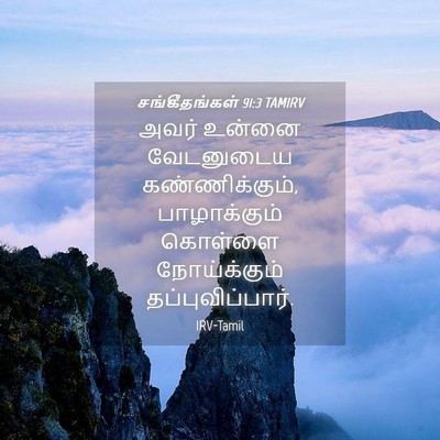 Picture 04 - சங்கீதங்கள் 91:3 TAMIRV - அவர் உன்னை - Bible Verse Picture