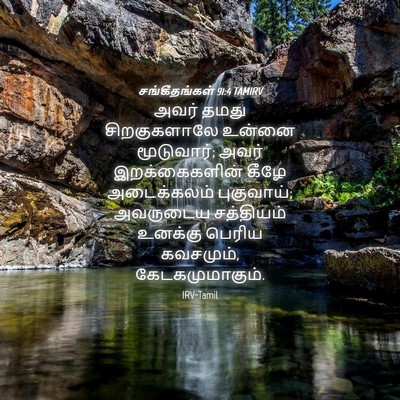 Picture 04 - சங்கீதங்கள் 91:4 TAMIRV - அவர் தமது - Bible Verse Picture