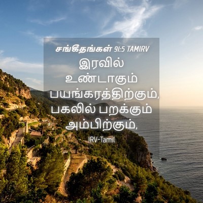 Picture 04 - சங்கீதங்கள் 91:5 TAMIRV - இரவில் உண்டாகும் - Bible Verse Picture