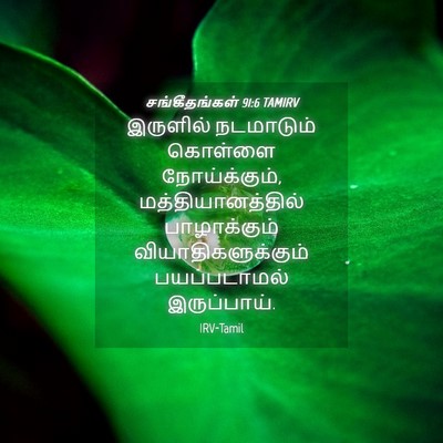 Picture 04 - சங்கீதங்கள் 91:6 TAMIRV - இருளில் நடமாடும் - Bible Verse Picture