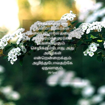 Picture 04 - சங்கீதங்கள் 92:7 TAMIRV - துன்மார்க்கர்கள் - Bible Verse Picture