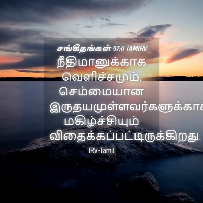 Picture 04 - சங்கீதங்கள் 97:11 TAMIRV - நீதிமானுக்காக - Bible Verse Picture