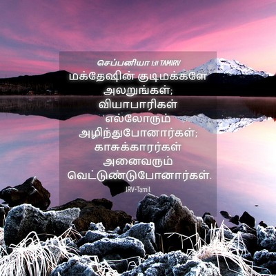 Picture 04 - செப்பனியா 1:11 TAMIRV - மக்தேஷின் - Bible Verse Picture