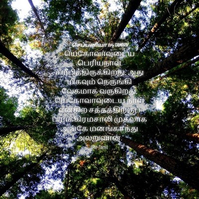 Picture 04 - செப்பனியா 1:14 TAMIRV - யெகோவாவுடைய - Bible Verse Picture