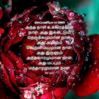 Picture 04 - செப்பனியா 1:15 TAMIRV - அந்த நாள் - Bible Verse Picture