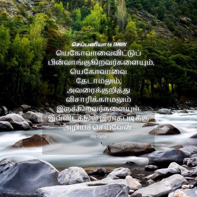 Picture 04 - செப்பனியா 1:6 TAMIRV - யெகோவாவைவிட்டுப் - Bible Verse Picture