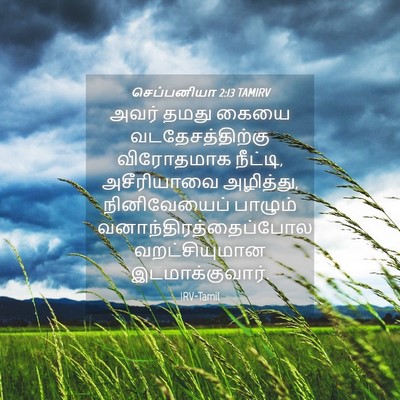 Picture 04 - செப்பனியா 2:13 TAMIRV - அவர் தமது கையை - Bible Verse Picture