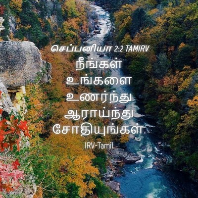 Picture 04 - செப்பனியா 2:2 TAMIRV - நீங்கள் உங்களை - Bible Verse Picture