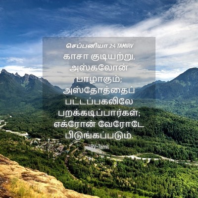 Picture 04 - செப்பனியா 2:4 TAMIRV - காசா குடியற்று, - Bible Verse Picture