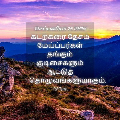 Picture 04 - செப்பனியா 2:6 TAMIRV - கடற்கரை தேசம் - Bible Verse Picture