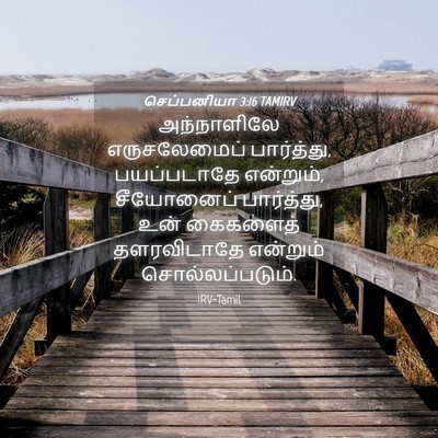 Picture 04 - செப்பனியா 3:16 TAMIRV - அந்நாளிலே - Bible Verse Picture