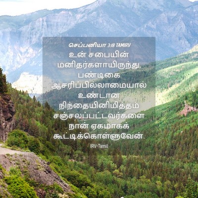 Picture 04 - செப்பனியா 3:18 TAMIRV - உன் சபையின் - Bible Verse Picture