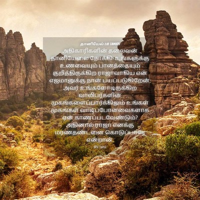 Picture 04 - தானியேல் 1:10 TAMIRV - அதிகாரிகளின் - Bible Verse Picture