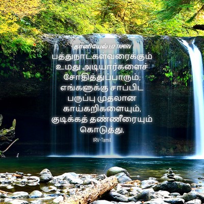 Picture 04 - தானியேல் 1:12 TAMIRV -  - Bible Verse Picture