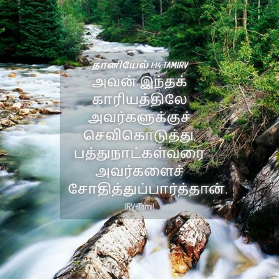 Picture 04 - தானியேல் 1:14 TAMIRV - அவன் இந்தக் - Bible Verse Picture