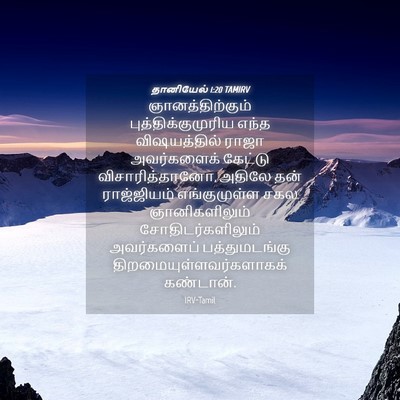 Picture 04 - தானியேல் 1:20 TAMIRV - ஞானத்திற்கும் - Bible Verse Picture