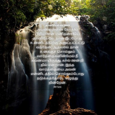 Picture 04 - தானியேல் 10:11 TAMIRV - அவன் என்னை நோக்கி: - Bible Verse Picture