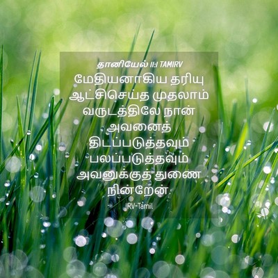 Picture 04 - தானியேல் 11:1 TAMIRV - மேதியனாகிய தரியு - Bible Verse Picture