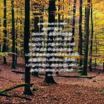 Picture 04 - தானியேல் 11:31 TAMIRV - ஆனாலும் - Bible Verse Picture