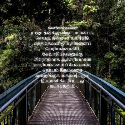 Picture 04 - தானியேல் 11:36 TAMIRV - ராஜா தனக்கு - Bible Verse Picture