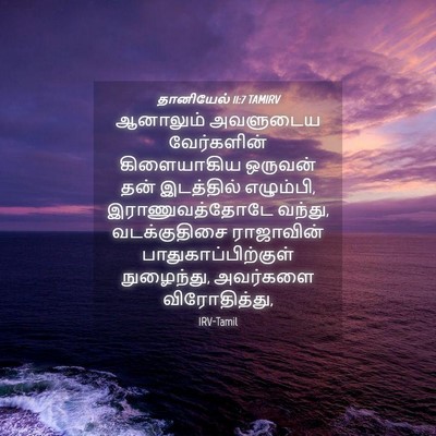 Picture 04 - தானியேல் 11:7 TAMIRV - ஆனாலும் அவளுடைய - Bible Verse Picture