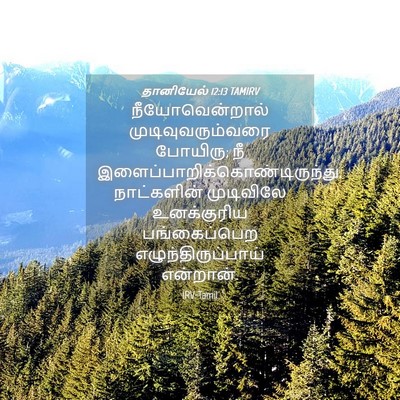 Picture 04 - தானியேல் 12:13 TAMIRV - நீயோவென்றால் - Bible Verse Picture